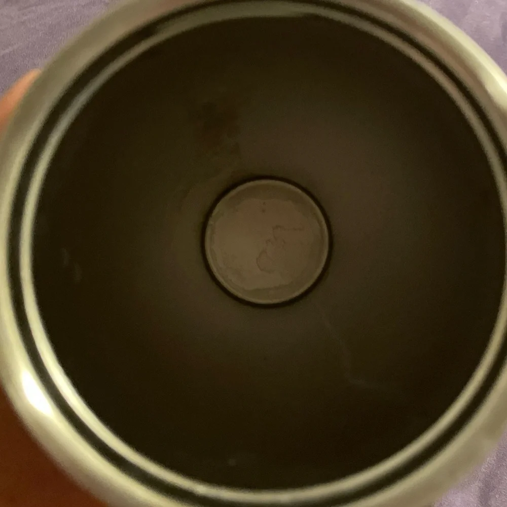 Starbucks Holiday 2020 Pink Poinsettia 24 oz Cold Cup Stainless Tumbler No Straw